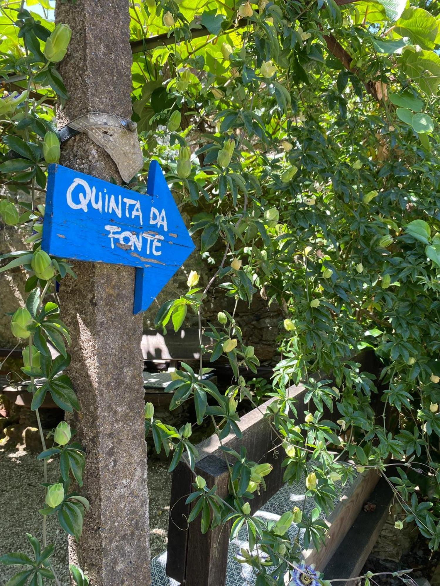 Guest Room Agro-Turismo Quinta Da Fonte Bed&Breakfast Figueiro Dos Vinhos Esterno foto