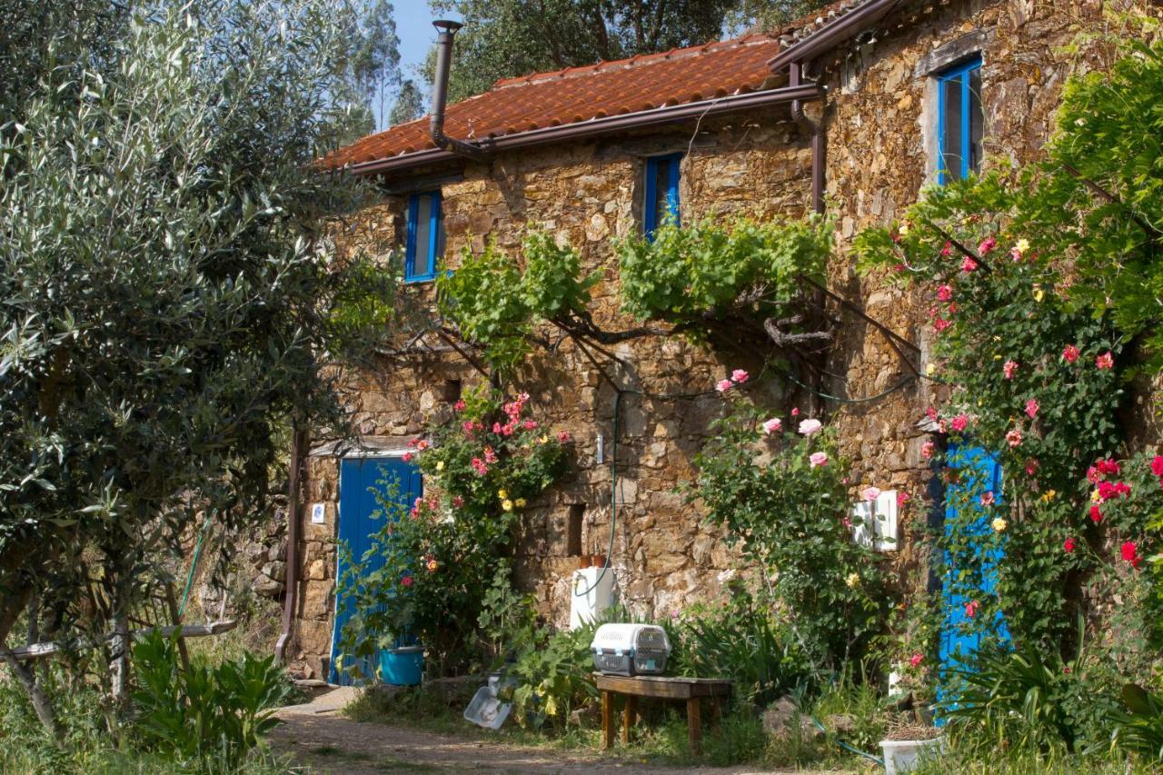 Guest Room Agro-Turismo Quinta Da Fonte Bed&Breakfast Figueiro Dos Vinhos Esterno foto